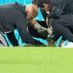 When the Earth Answered Back: Austria’s Pitch Falls Away During Dramatic Win