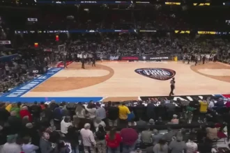 WNBA Playoffs Marred by Officiating Controversies